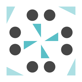 Synergistic Silk Bag